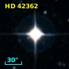 HD  42362
