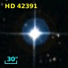 HD  42391