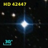 HD  42447