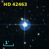 HD  42463