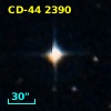 CD-44  2390