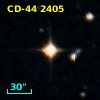 CD-44  2405