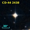 CD-44  2438