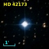 HD  42173