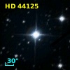 HD  44125