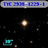 TYC 2938-1229-1
