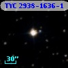 TYC 2938-1636-1