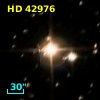 HD  42976