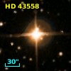 HD  43558