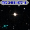 TYC 2433-877-1