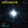 BD+36  1388B