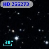 HD 255273