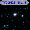 TYC 2429-181-1