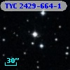 TYC 2429-664-1