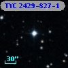 TYC 2429-827-1
