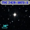 TYC 2429-1073-1