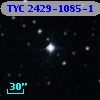 TYC 2429-1085-1