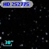 HD 252775