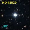 HD  42529
