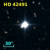 HD  42491