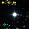 HD  43439