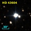HD  43604