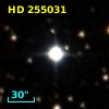HD 255031