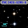 TYC 2421-1295-1