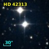 HD  42313
