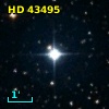 HD  43495