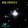 HD 255211