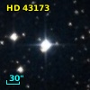 HD  43173
