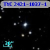 TYC 2421-1037-1