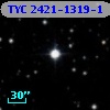 TYC 2421-1319-1