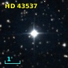 HD  43537