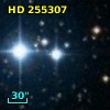 HD 255307