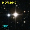 HD  43647