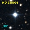 HD 255091