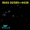 IRAS 02585+4428