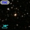 TYC 1877-1137-1