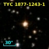 TYC 1877-1243-1