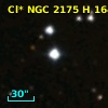 Cl* NGC 2175      H     164
