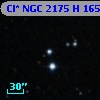 Cl* NGC 2175      H     165