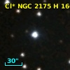 Cl* NGC 2175      H     166