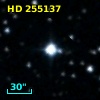 HD 255137
