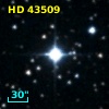 HD  43509