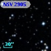 NSV  2905