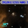 [TGJ91] S255 NIRS 21