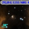 [TGJ91] S255 NIRS 41