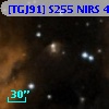 [TGJ91] S255 NIRS 49